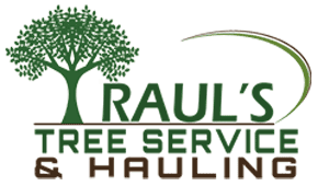 Water Conservation Plants Landscaping save water